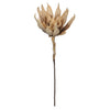 Artificial Peach EVA Foam Yucca Stem - House of Silk Flowers®
 - 2