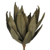 Artificial Grey EVA Foam Yucca Stem - House of Silk Flowers®
 - 1