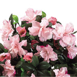 Artificial 24-inch Azalea Trailing Bush (Set of 6)