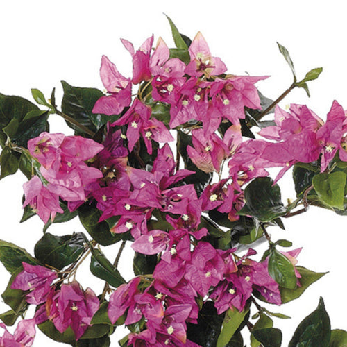 Artificial 24-inch Bougainvillea Trailing Bush (Set of 6)