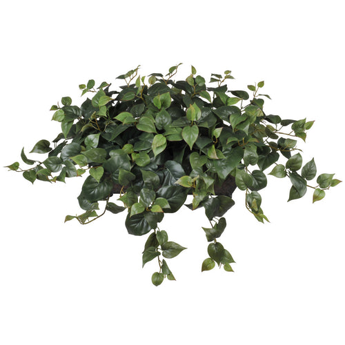 Artificial Philo Ledge Plant - House of Silk Flowers®
 - 1