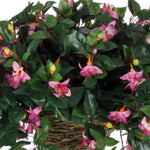 Artificial Fuchsia Hanging Basket