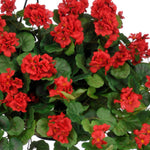 Artificial Red Geranium (WT) Hanging Basket