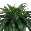 Artificial Fern in Washed Wood Planter