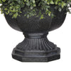 Artificial Half-Ball Boxwood Topiary in Garden Urn