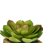 Artificial Echevaria Succulent in Olive Green Ceramic Vase