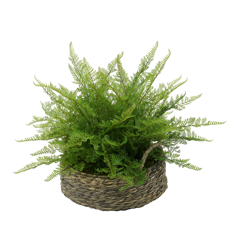 Faux Lace Fern in Seagrass Tray Basket