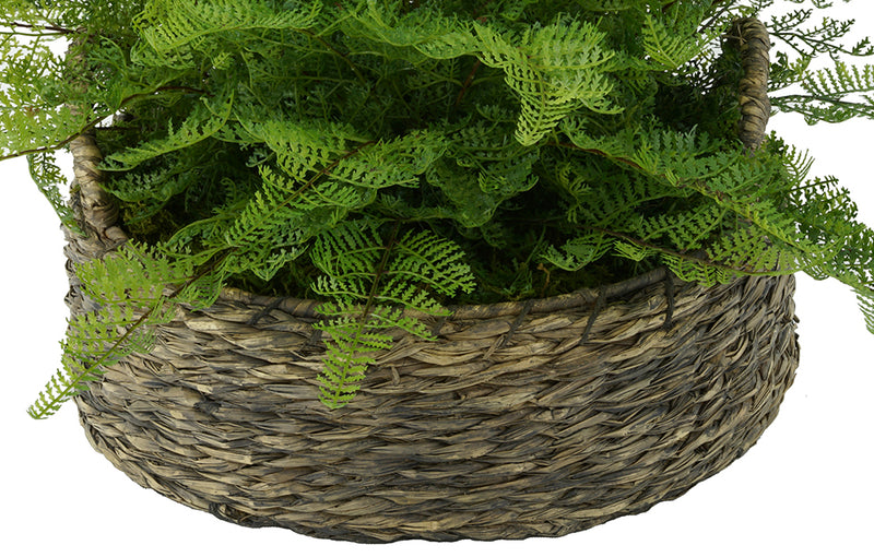 Faux Lace Fern in Seagrass Tray Basket