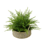 Faux Lace Fern in Seagrass Tray Basket