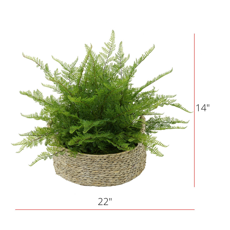 Faux Fern in Seagrass Tray Basket