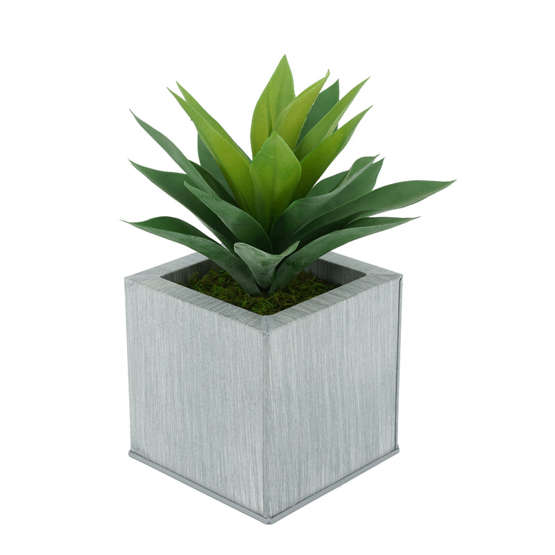 Faux Frosted Light Green Succulent in Farmhouse Square Zinc Pot