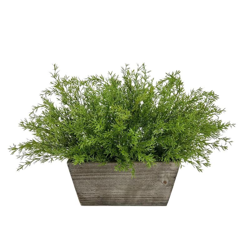 Faux Asparagus Fern in Wood Mini Ledge