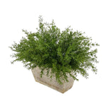 Faux Asparagus Fern in Wood Mini Ledge