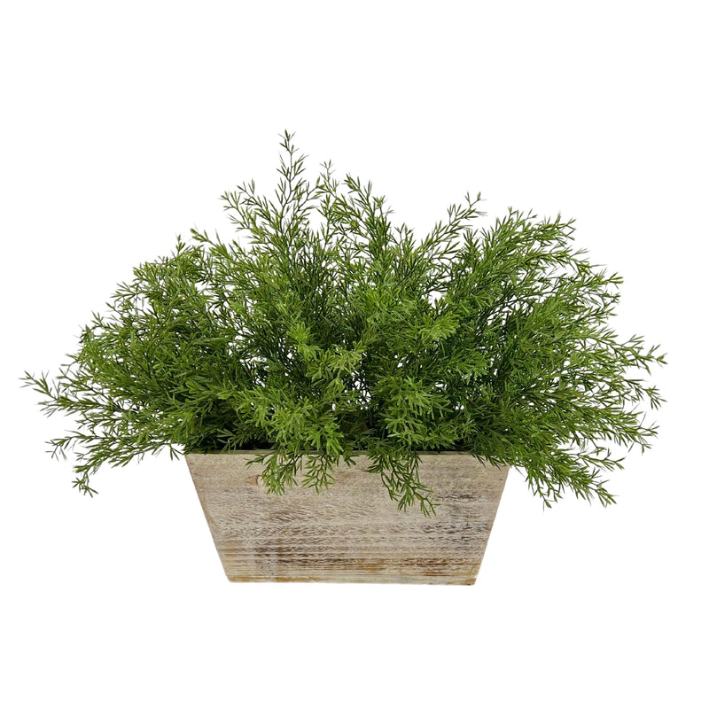 Faux Asparagus Fern in Wood Mini Ledge