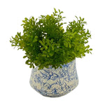 Faux Herbs in Blue Toile Ceramic Vases (Set of 3)