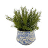 Faux Herbs in Blue Toile Ceramic Vases (Set of 3)