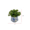 Faux Herbs in Blue Toile Ceramic Vases (Set of 3)