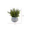 Faux Herbs in Blue Toile Ceramic Vases (Set of 3)