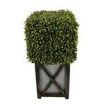 Faux Boxwood Square Topiary in Crisscross Stout Wood/Metal