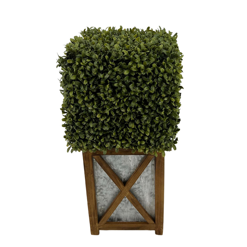 Faux Boxwood Square Topiary in Crisscross Stout Wood/Metal