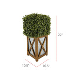 Faux Boxwood Square Topiary in Crisscross Stout Wood/Metal