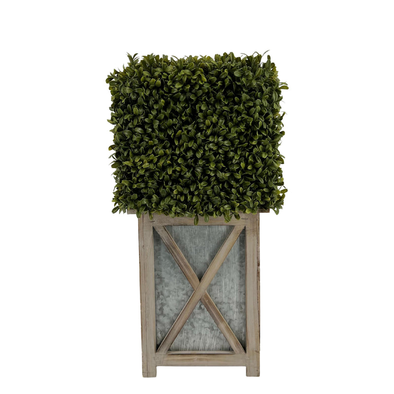 Faux Boxwood Square Topiary in Crisscross Stout Wood/Metal