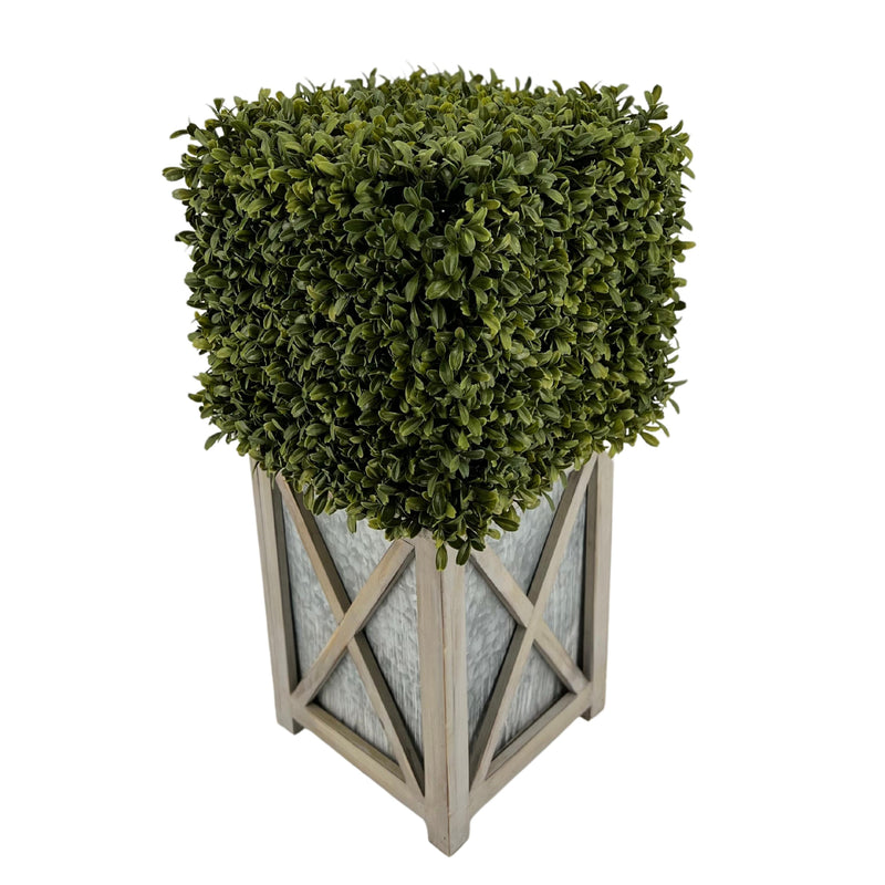 Faux Boxwood Square Topiary in Crisscross Stout Wood/Metal