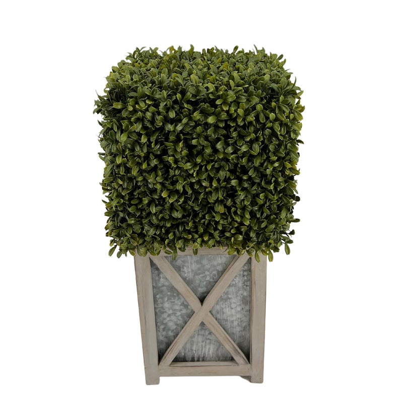 Faux Boxwood Square Topiary in Crisscross Stout Wood/Metal