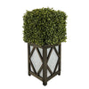 Faux Boxwood Square Topiary in Diamond Stout Wood/Metal