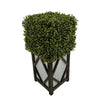 Faux Boxwood Square Topiary in Diamond Stout Wood/Metal