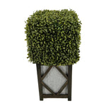 Faux Boxwood Square Topiary in Diamond Stout Wood/Metal