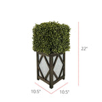 Faux Boxwood Square Topiary in Diamond Stout Wood/Metal