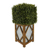 Faux Boxwood Square Topiary in Diamond Stout Wood/Metal