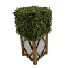 Faux Boxwood Square Topiary in Diamond Stout Wood/Metal