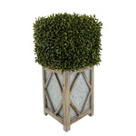 Faux Boxwood Square Topiary in Diamond Stout Wood/Metal