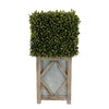 Faux Boxwood Square Topiary in Diamond Stout Wood/Metal