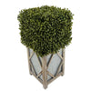 Faux Boxwood Square Topiary in Diamond Stout Wood/Metal