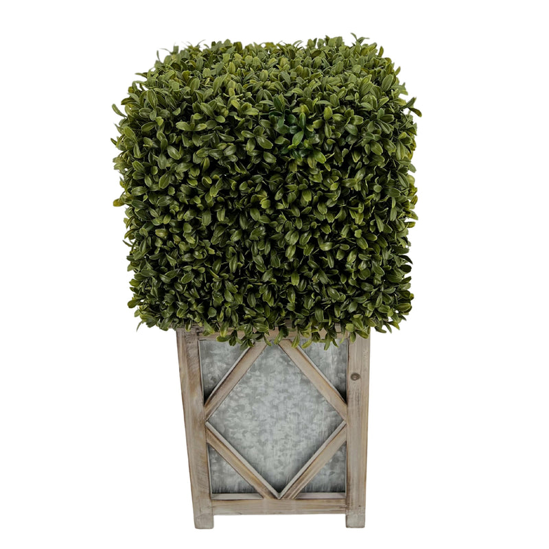 Faux Boxwood Square Topiary in Diamond Stout Wood/Metal