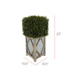 Faux Boxwood Square Topiary in Diamond Stout Wood/Metal