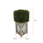 Faux Boxwood Square Topiary in Diamond Stout Wood/Metal