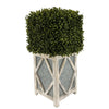 Faux Boxwood Square Topiary in Diamond Stout Wood/Metal