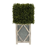 Faux Boxwood Square Topiary in Diamond Stout Wood/Metal