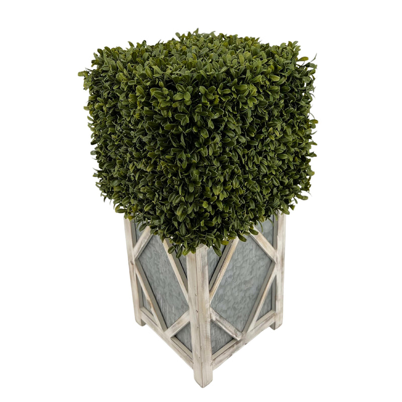 Faux Boxwood Square Topiary in Diamond Stout Wood/Metal