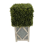 Faux Boxwood Square Topiary in Diamond Stout Wood/Metal