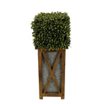 Faux Boxwood Square Topiary in Crisscross Tall Wood/Metal