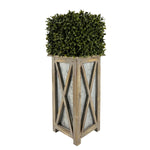 Faux Boxwood Square Topiary in Crisscross Tall Wood/Metal