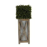 Faux Boxwood Square Topiary in Crisscross Tall Wood/Metal