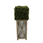 Faux Boxwood Square Topiary in Crisscross Tall Wood/Metal