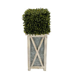 Faux Boxwood Square Topiary in Crisscross Tall Wood/Metal