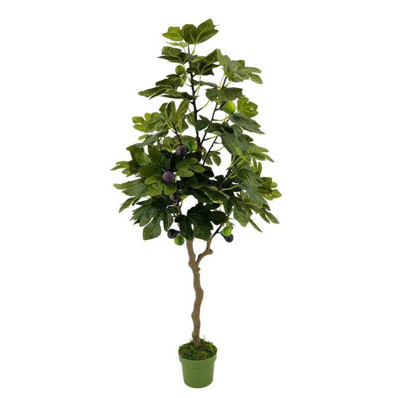 Faux 4ft Fig Tree